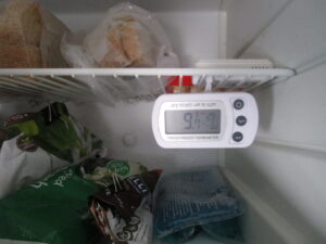 Freezer thermometer
